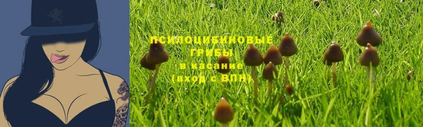 MDMA Premium VHQ Богородицк