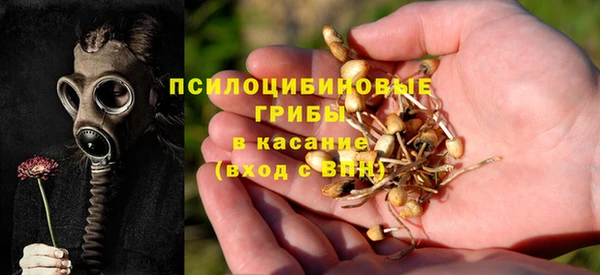 кристаллы Белоозёрский