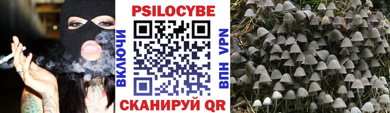 дарнет шоп  Нарьян-Мар  Псилоцибиновые грибы Cubensis 